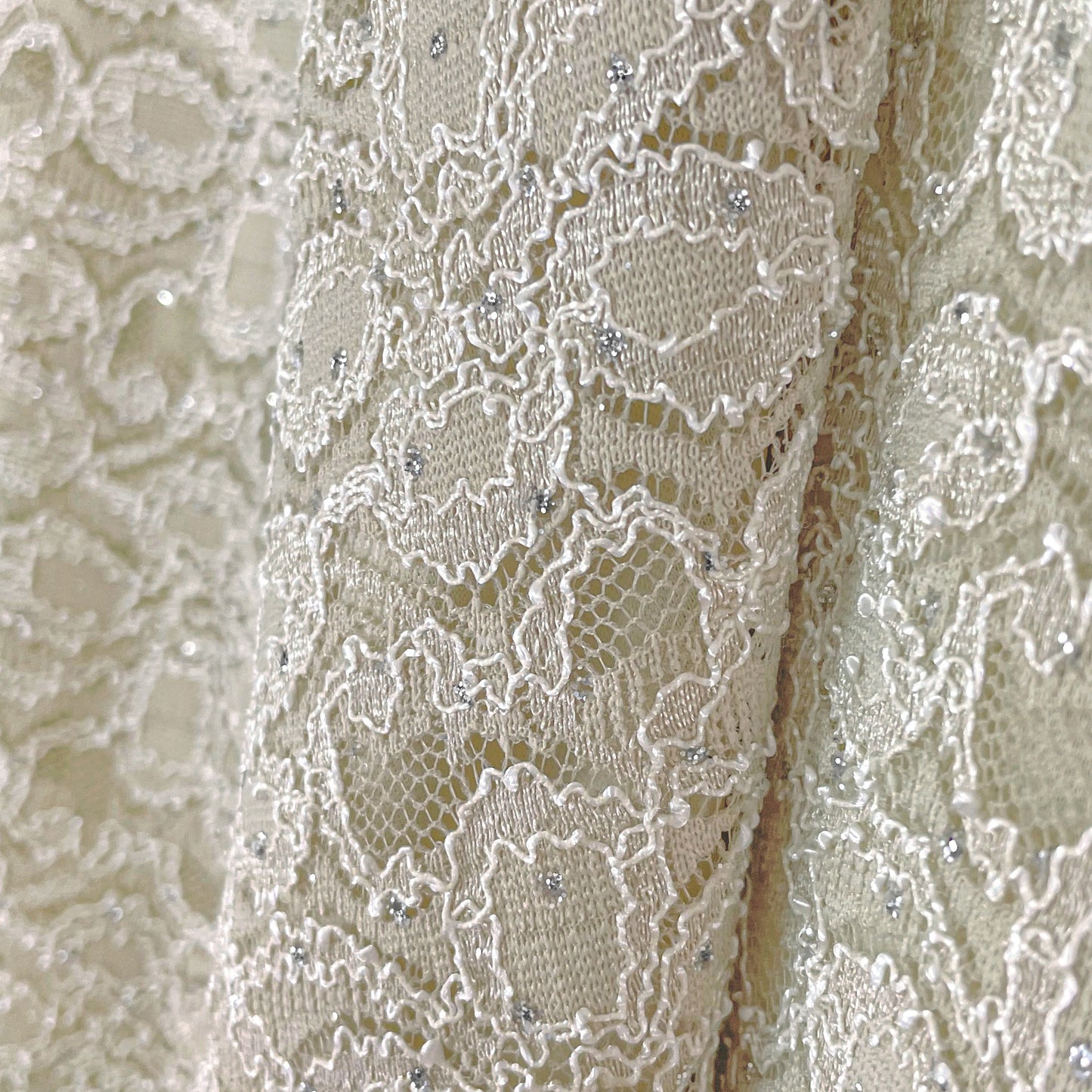 Sparkly Silver Glitter/Embroidery Champagne Floral Lace Top Tunic Knit Blouse